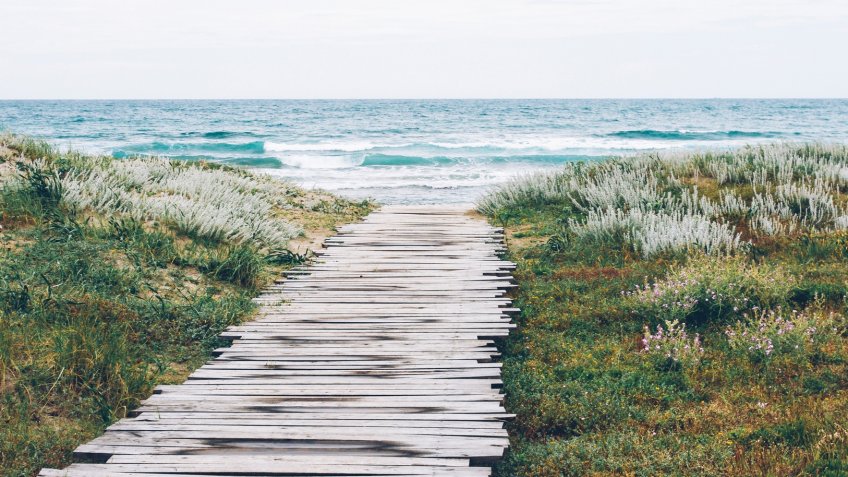 Фото: pxhere.com