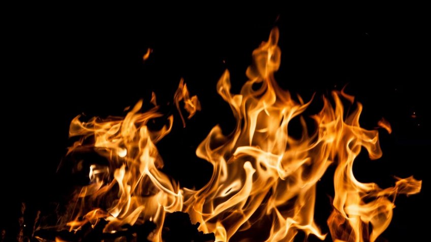 Фото: freepik.com