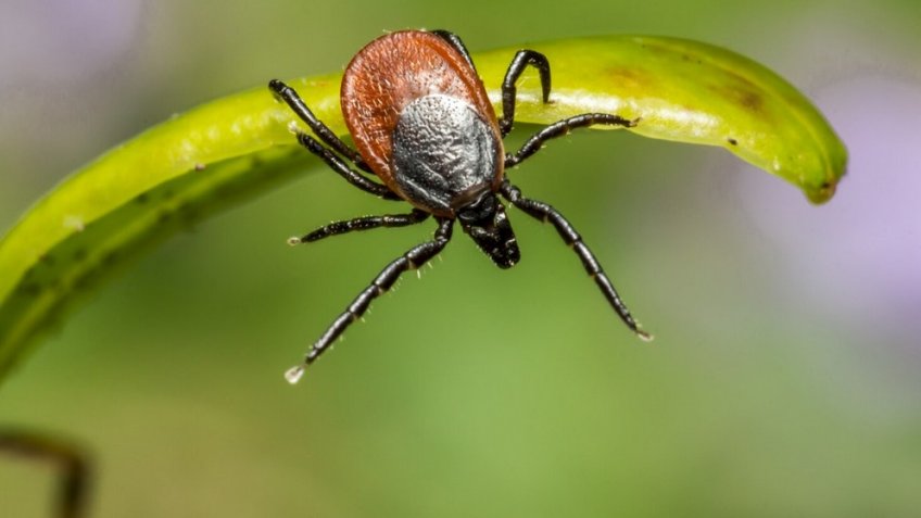 Фото: freepik.com