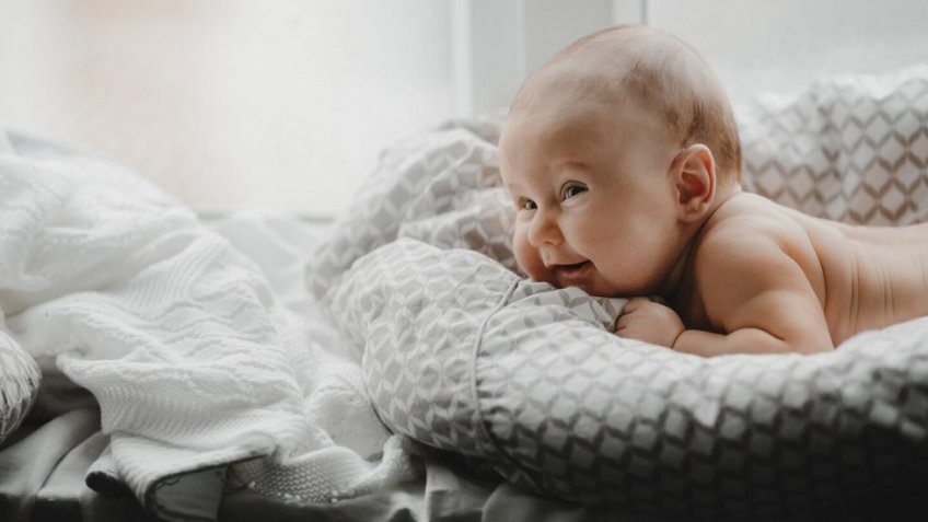 Фото: freepik.com