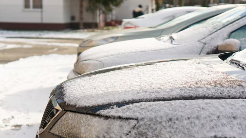 Фото: freepik.com