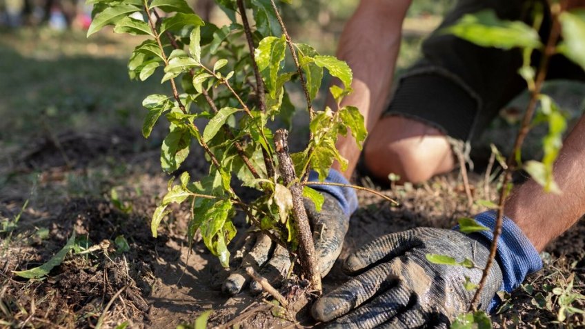 Фото: freepik.com