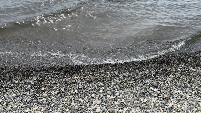 Фото: Mosaica.ru