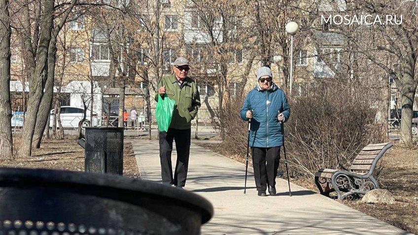 Мозайка, Екатерина Соколова