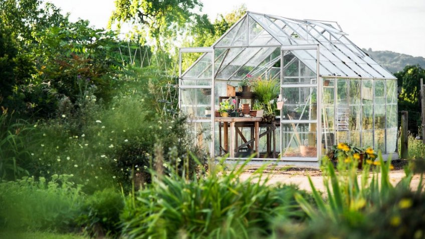 Фото: freepik.com