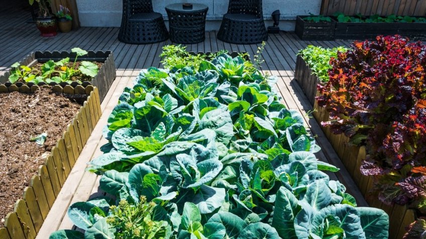 Фото: freepik.com