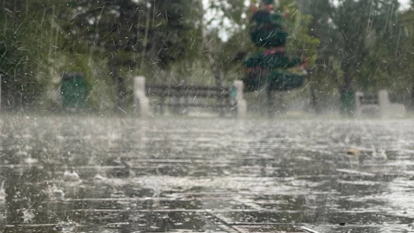 Мозаика, Екатерина Соколова