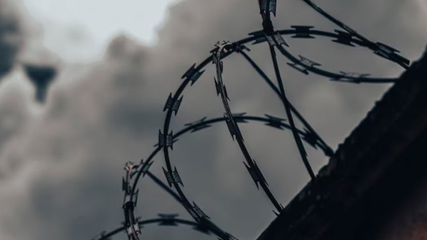 Фото: freepik.com