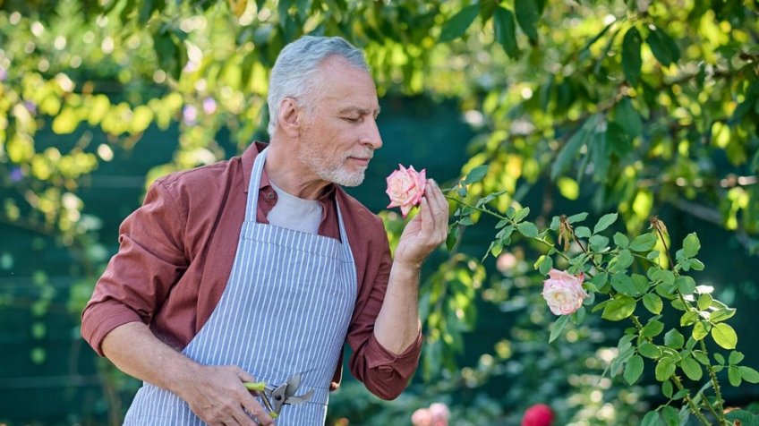 Фото: freepik.com