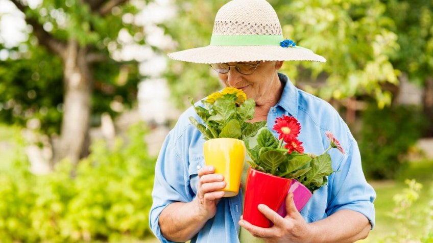 Фото: freepik.com