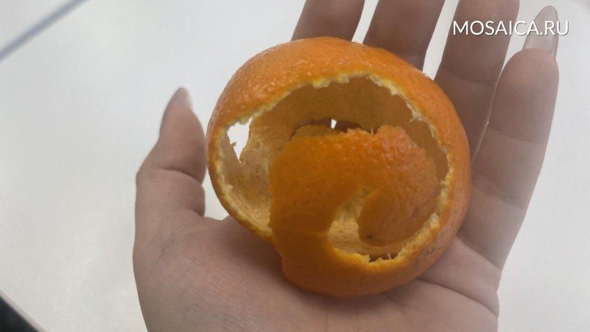 Мозаика, Екатерина Соколова