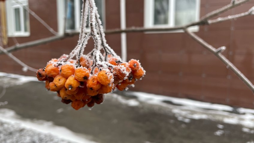 Фото: Mosaica.ru