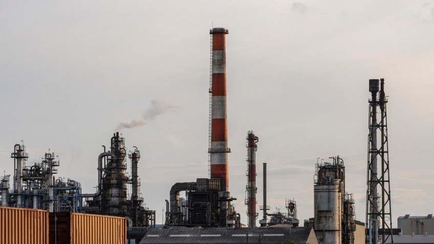 Фото: freepik.com