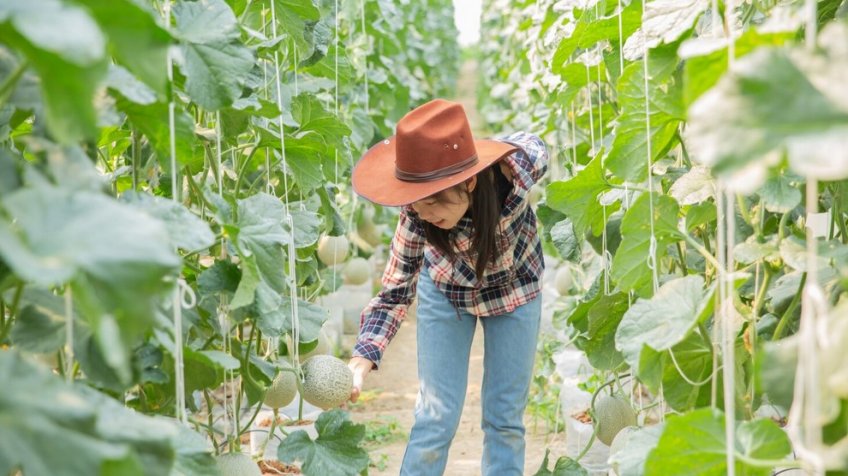 Фото: freepik.com