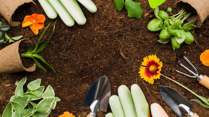 Фото: freepik.com