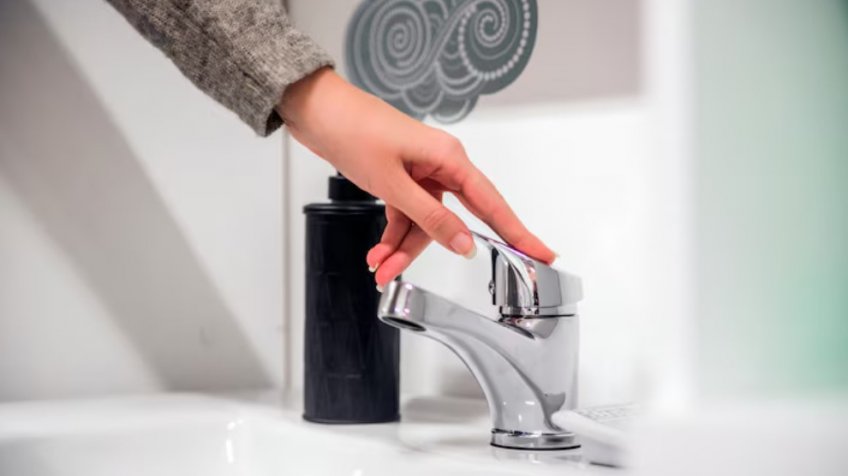 Фото: freepik.com