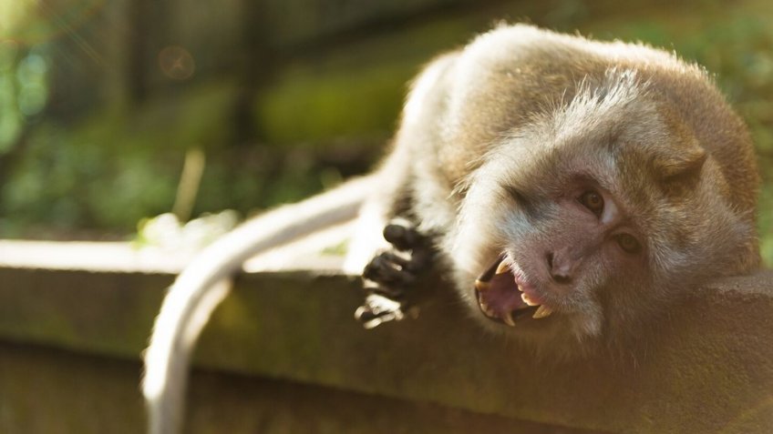 Фото: freepik.com