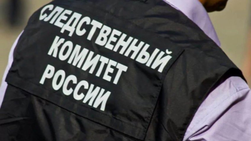Фото: пресс-служба СК РФ
