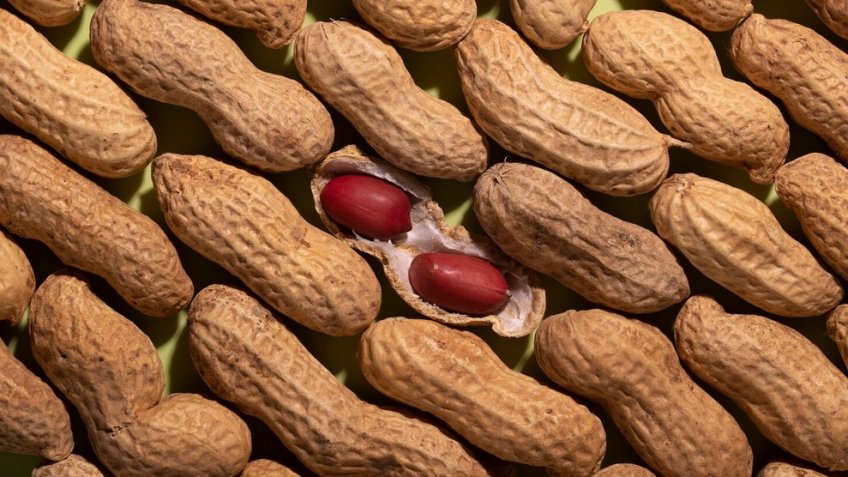 Фото: freepik.com