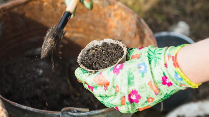 Фото: freepik.com