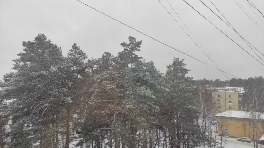 Фото: mosaica.ru