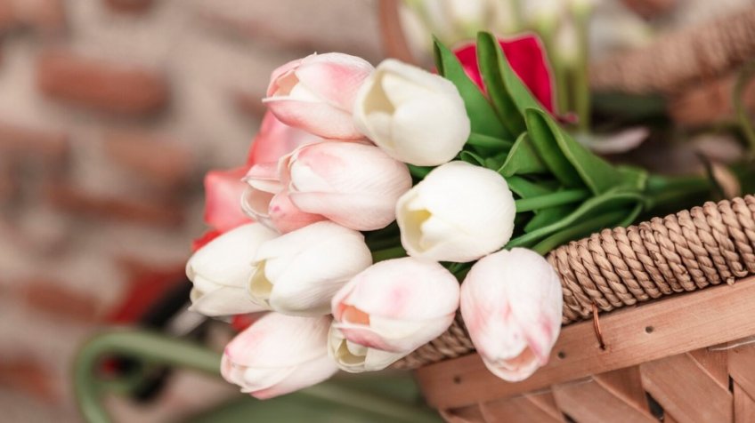 Фото: freepik.com