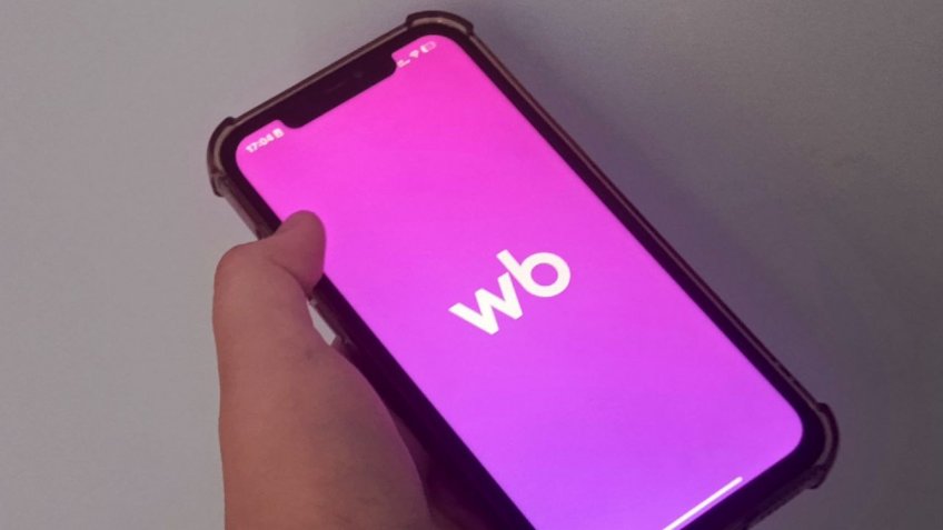 Мозаика, Екатерина Соколова