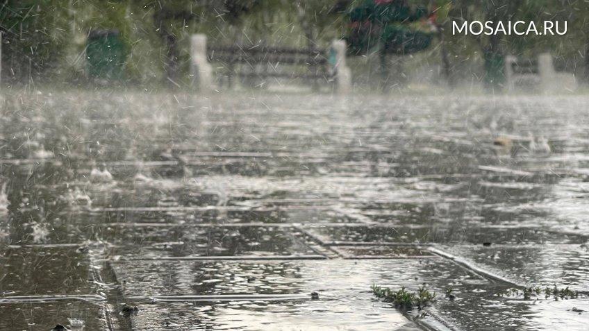 Мозаика, Екатерина Соколова