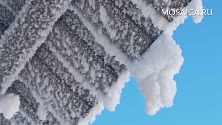 Фото: Mosaica.ru