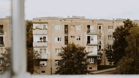 Фото: freepik.com