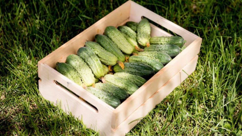 Фото: freepik.com