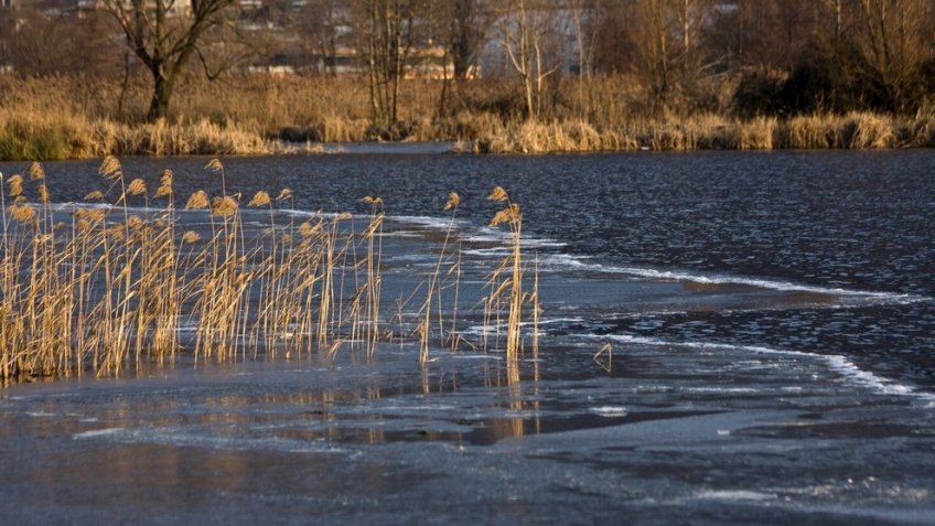 Фото: freepik.com