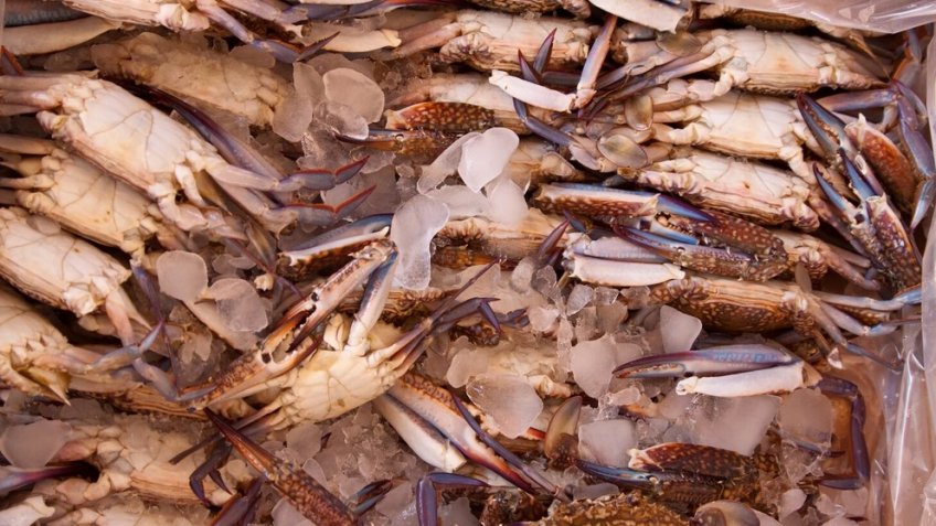 Фото: freepik.com