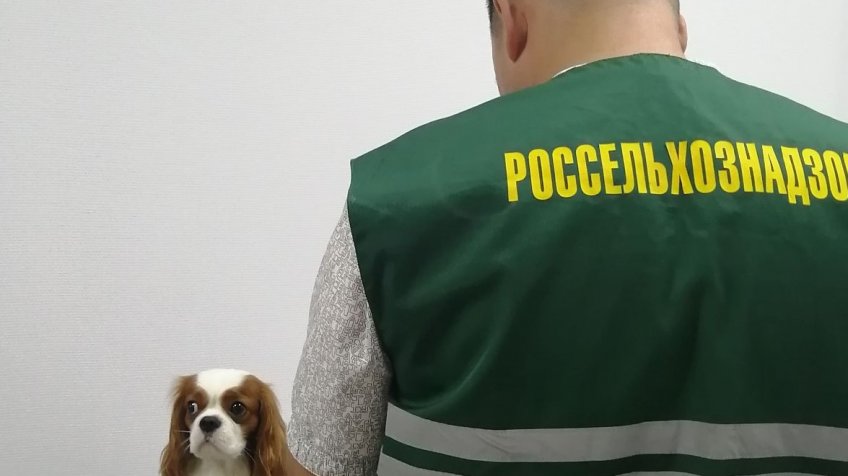 Фото: Россельхознадзор