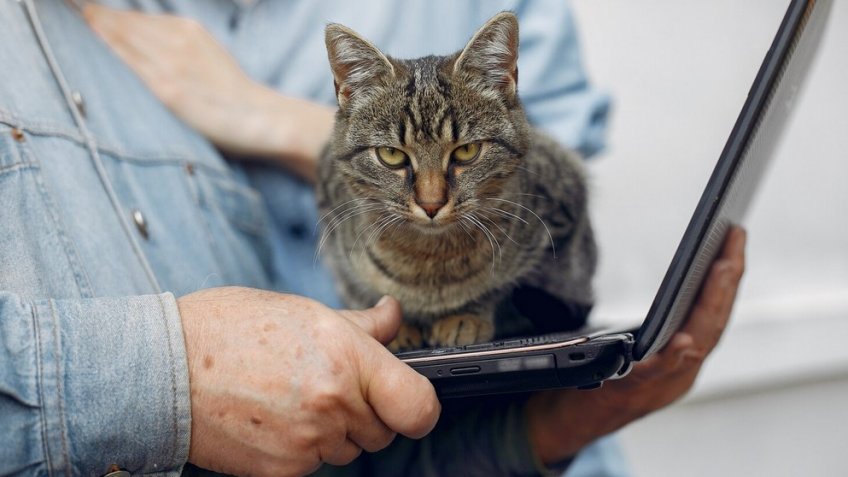 Фото: freepik.com