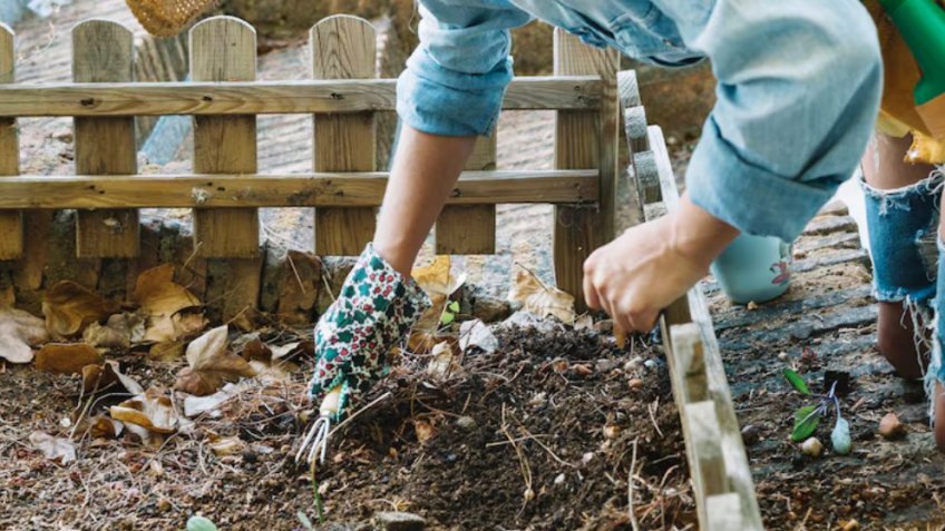 Фото: freepik.com