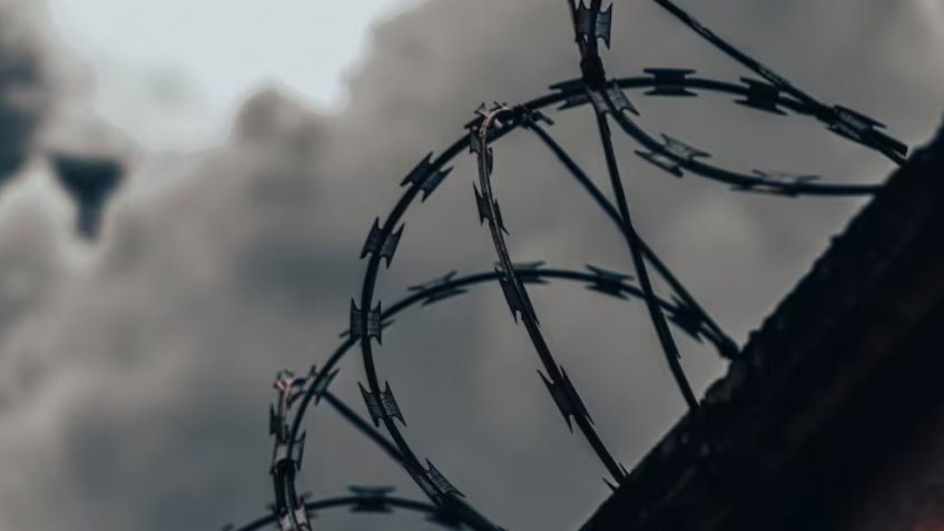 Фото: freepik.com