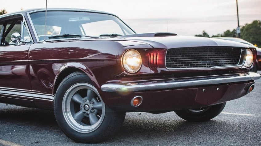 Фото: freepik.com