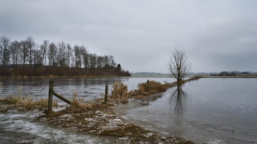 Фото: freepik.com