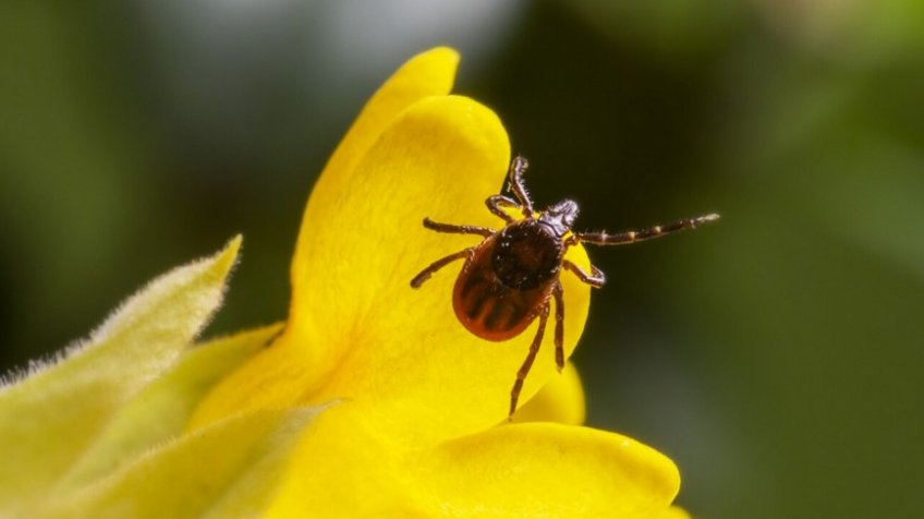 Фото: freepik.com