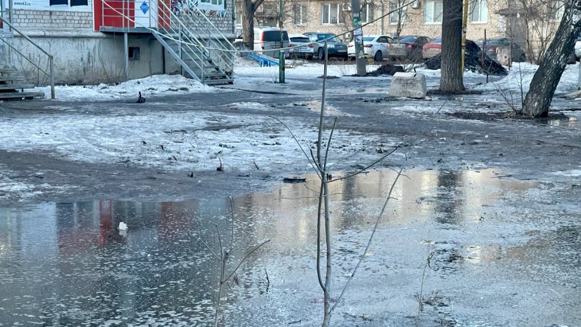 Екатерина Соколова, Мозаика