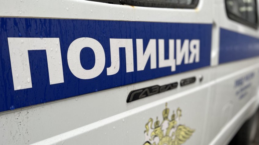 Фото: Ульяновская полиция