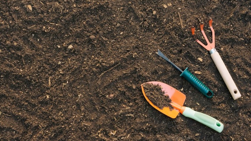 Фото: freepik.com