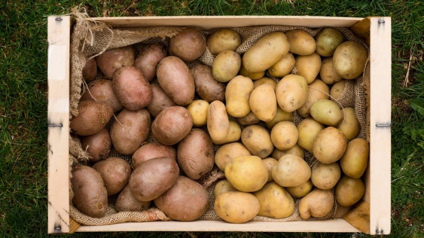 Фото: freepik.com