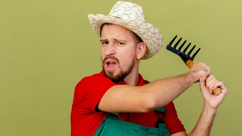 Фото: freepik.com