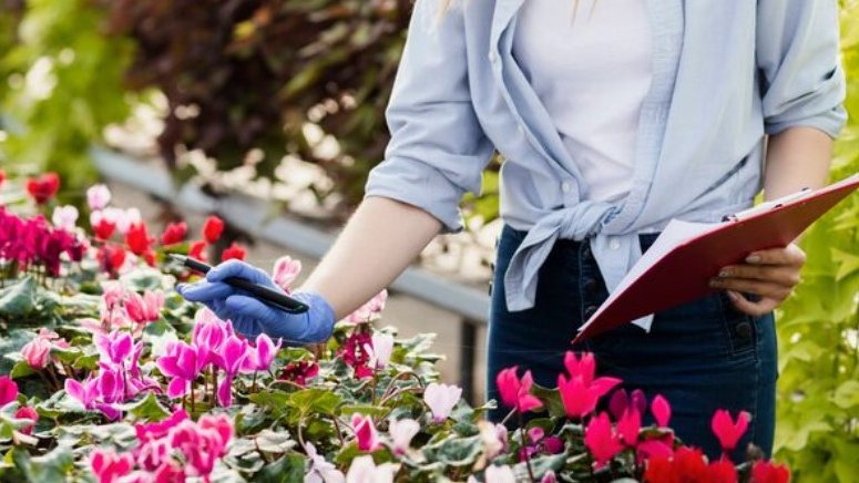 Фото: freepik.com