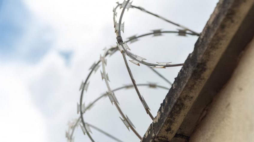 Фото: freepik.com