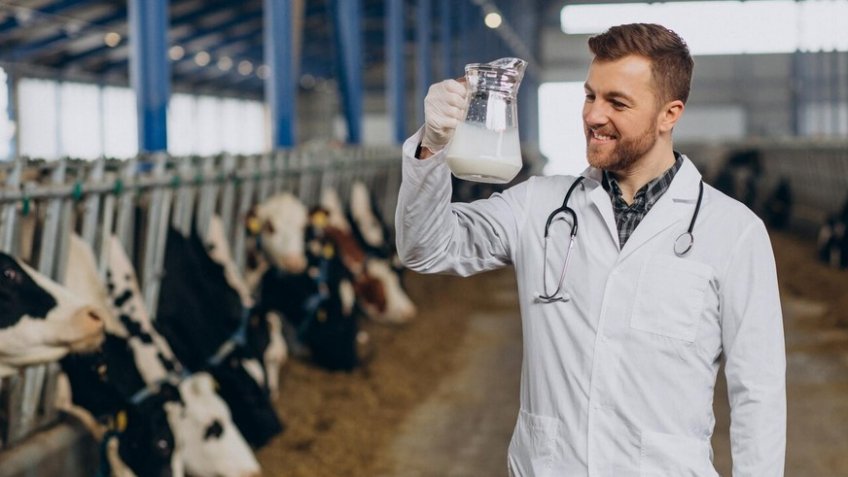 Фото: freepik.com