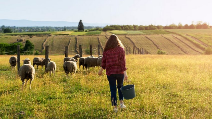 Фото: freepik.com