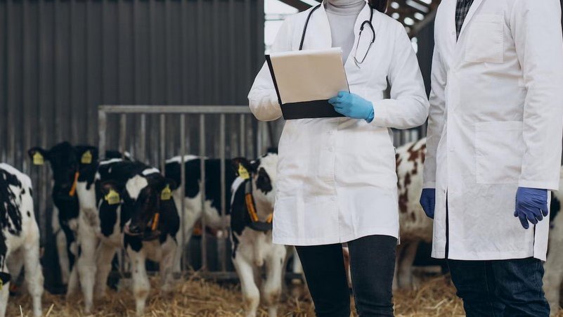 Фото: freepik.com